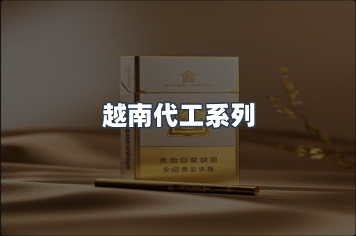 越南代工系列